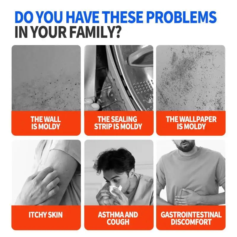 Wall Mold Remover Spray