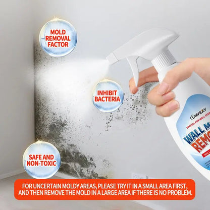 Wall Mold Remover Spray