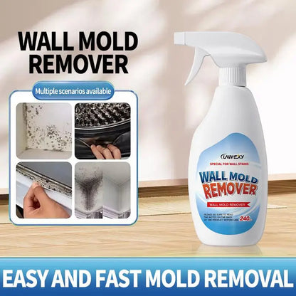 Wall Mold Remover Spray